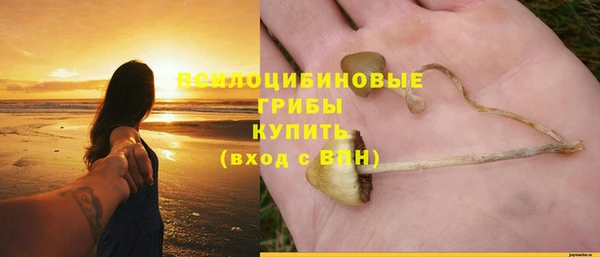 ECSTASY Вяземский